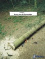 /album/fotogaleria/povera-jpg-jpg/