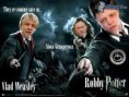 /album/fotogaleria/potter-jpg-jpg/